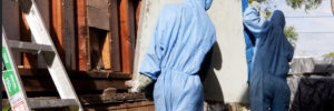 asbestos removalists taking away hazardous materials