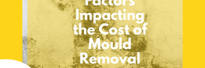 factors impacting the cost of mould removal in Australia