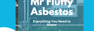 mr fluffy asbestos - everything that you need to know