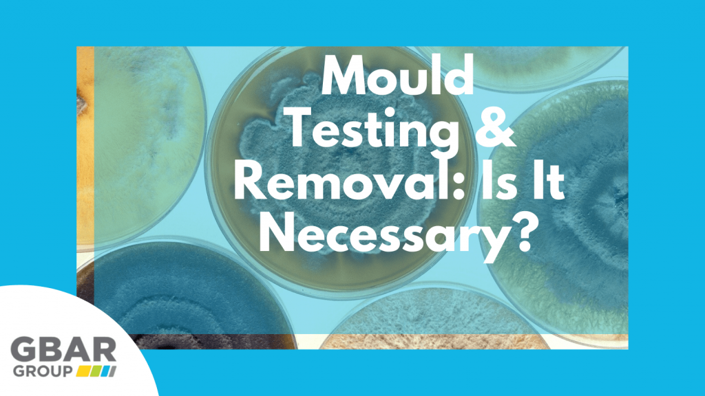 mould testing and treatment guide cover image