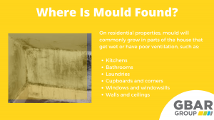 locations that mould is found around the home