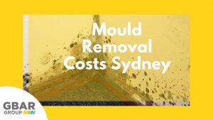 mould removal costs sydney - cover image